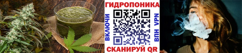 гидра как войти  где найти   Гороховец  Cannafood конопля 