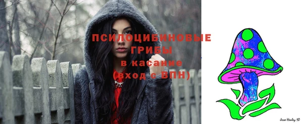 MDMA Premium VHQ Богородицк