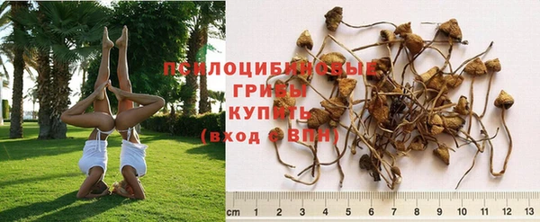 мяу мяу кристалл Беломорск