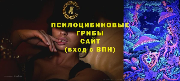MDMA Белокуриха