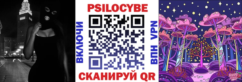 Псилоцибиновые грибы Cubensis  где продают   Гороховец 